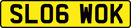 SL06WOK