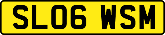 SL06WSM