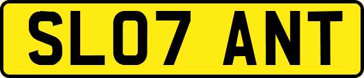 SL07ANT