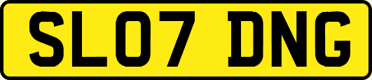 SL07DNG
