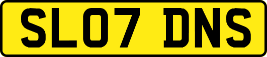SL07DNS