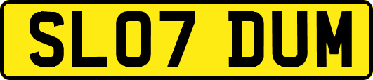SL07DUM