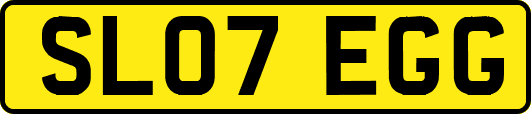 SL07EGG