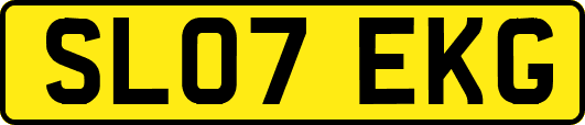 SL07EKG