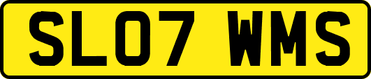 SL07WMS