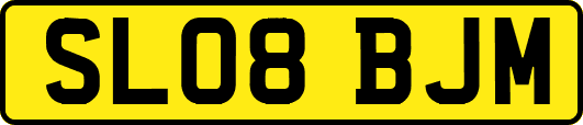 SL08BJM