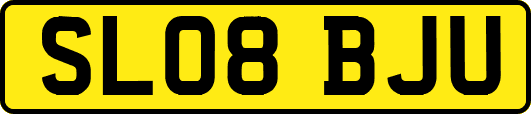 SL08BJU
