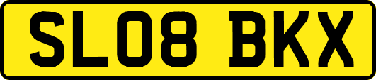 SL08BKX
