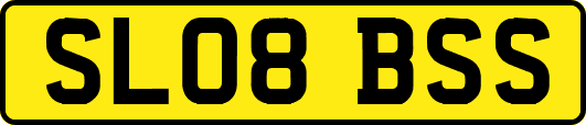 SL08BSS