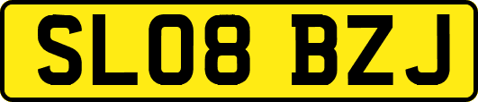 SL08BZJ