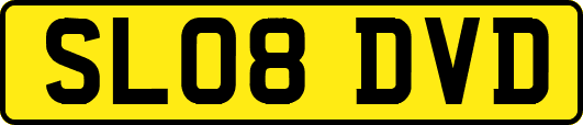 SL08DVD