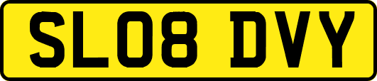 SL08DVY