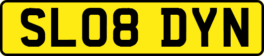 SL08DYN