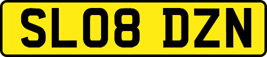 SL08DZN