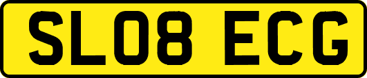 SL08ECG