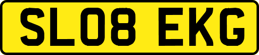 SL08EKG