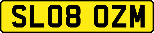 SL08OZM