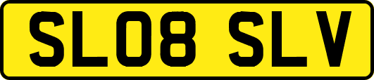 SL08SLV