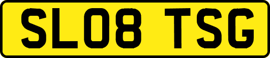 SL08TSG