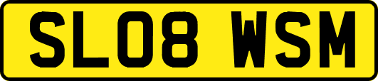 SL08WSM