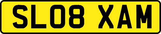 SL08XAM