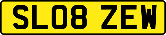 SL08ZEW