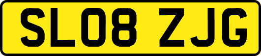 SL08ZJG