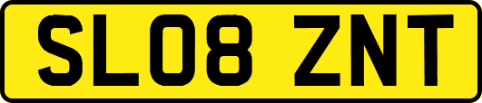 SL08ZNT