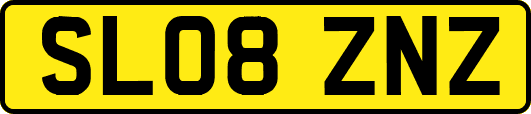 SL08ZNZ