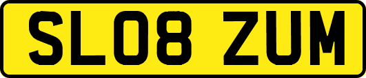 SL08ZUM