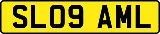 SL09AML