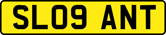 SL09ANT