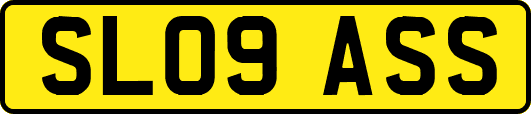 SL09ASS