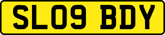 SL09BDY