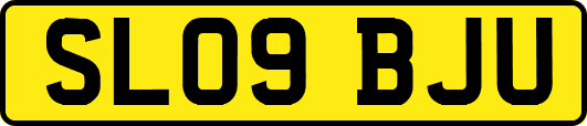 SL09BJU