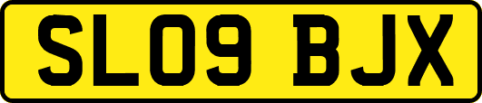 SL09BJX