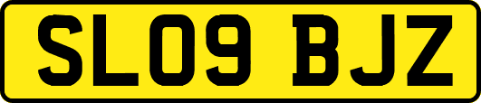 SL09BJZ
