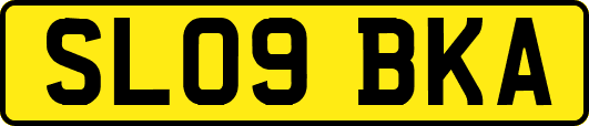 SL09BKA