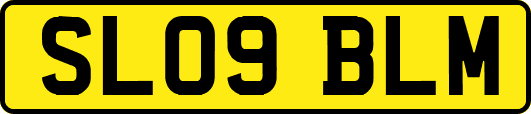 SL09BLM