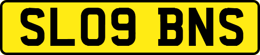 SL09BNS