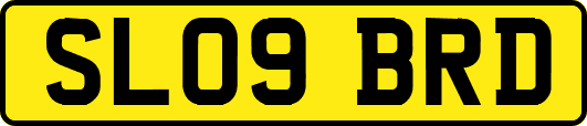 SL09BRD