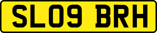 SL09BRH