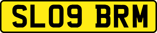 SL09BRM
