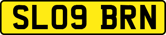 SL09BRN