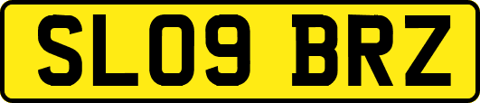 SL09BRZ