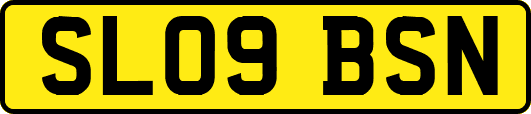 SL09BSN