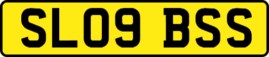 SL09BSS