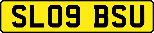 SL09BSU