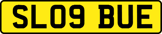 SL09BUE