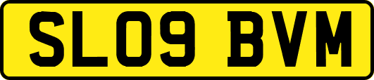 SL09BVM